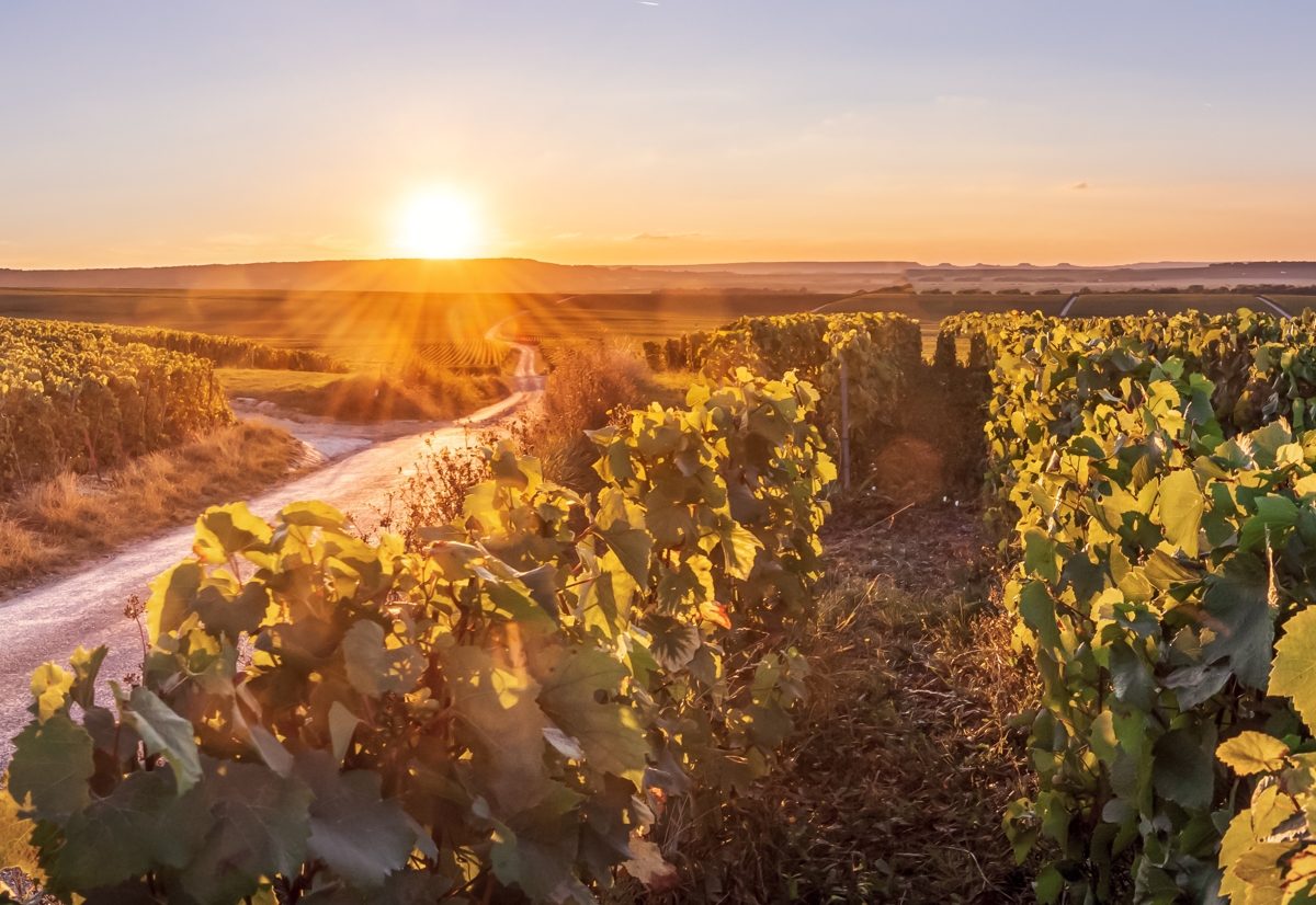 Beispielbild - JR_GR_ZWW2 Beispielbild - JR_GR_ZWW2